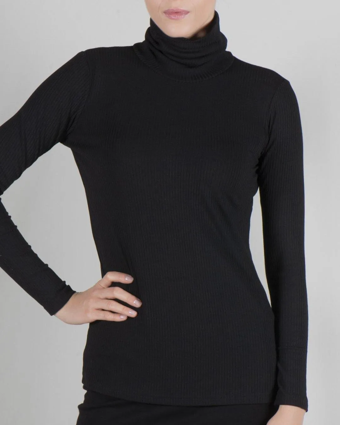 Point Ribbed Turtleneck