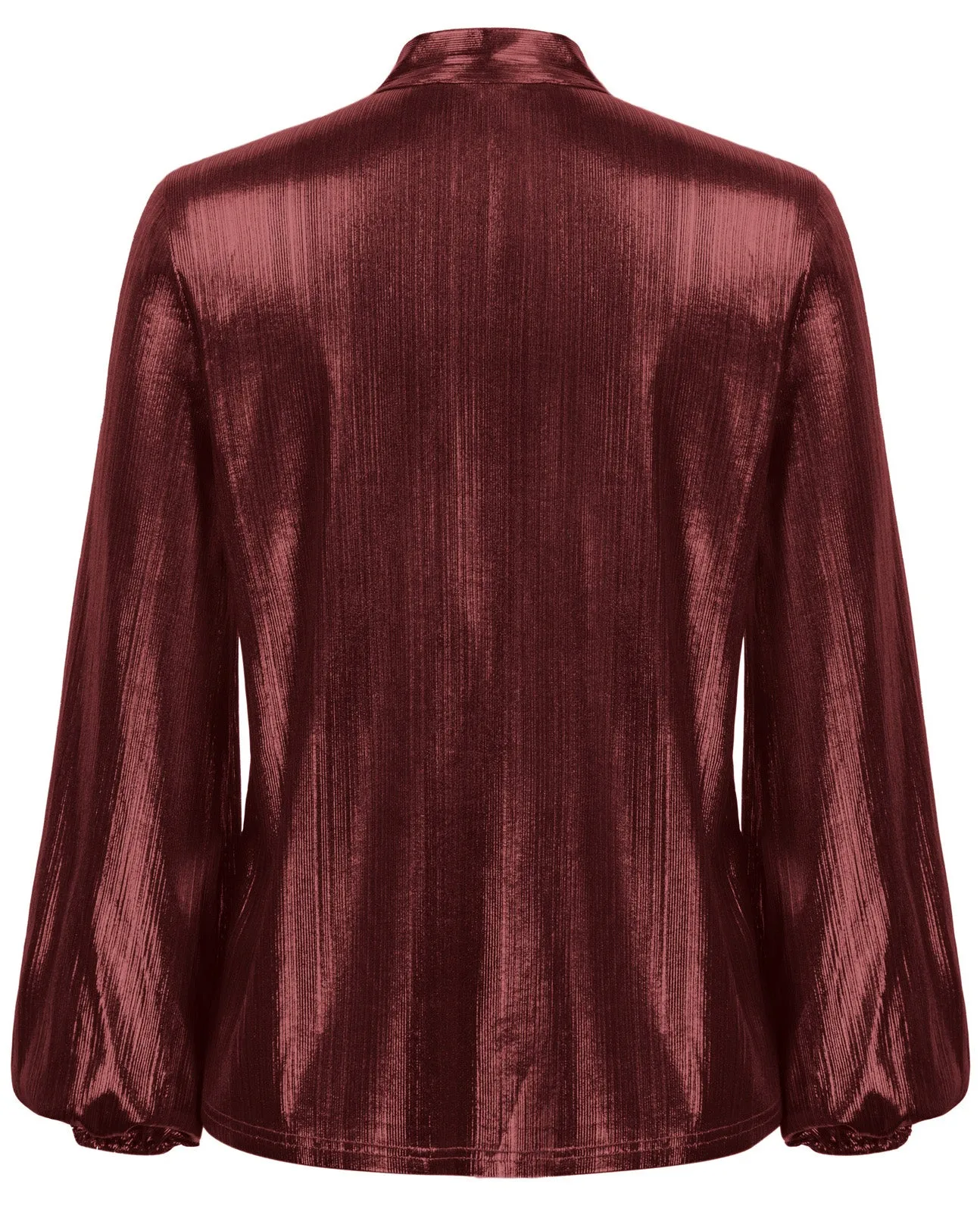 Shiny Metallic-Like Blouse Long Sleeve V-Neck Bow-knot Decorated Tops